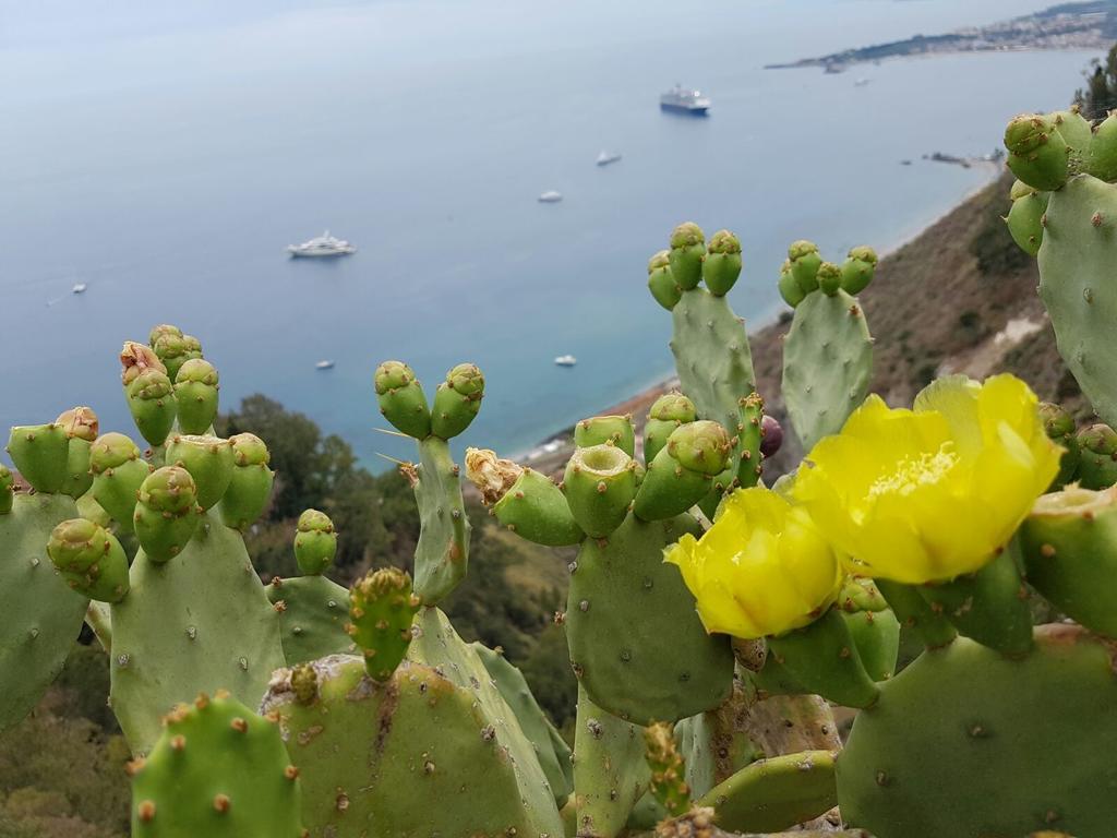 Apartamento Da Cristina Con Amore Taormina Exterior foto